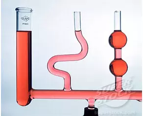 1281