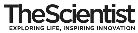 2564 5