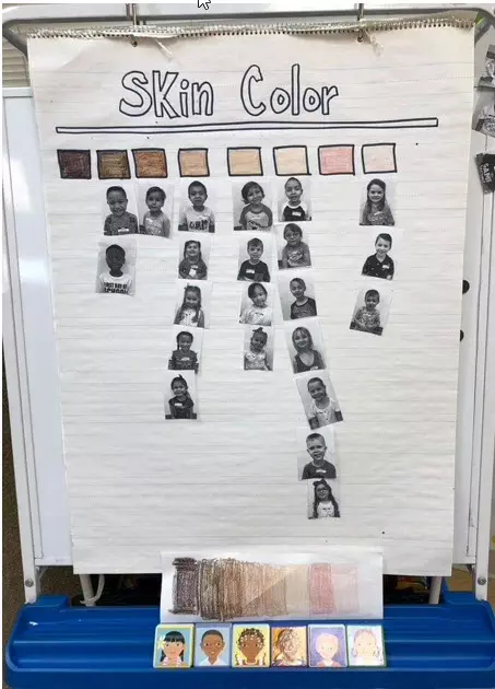 2619 3